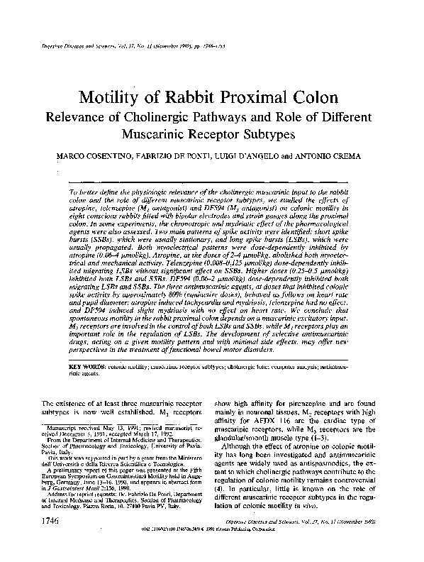(PDF) Motility of rabbit proximal colon