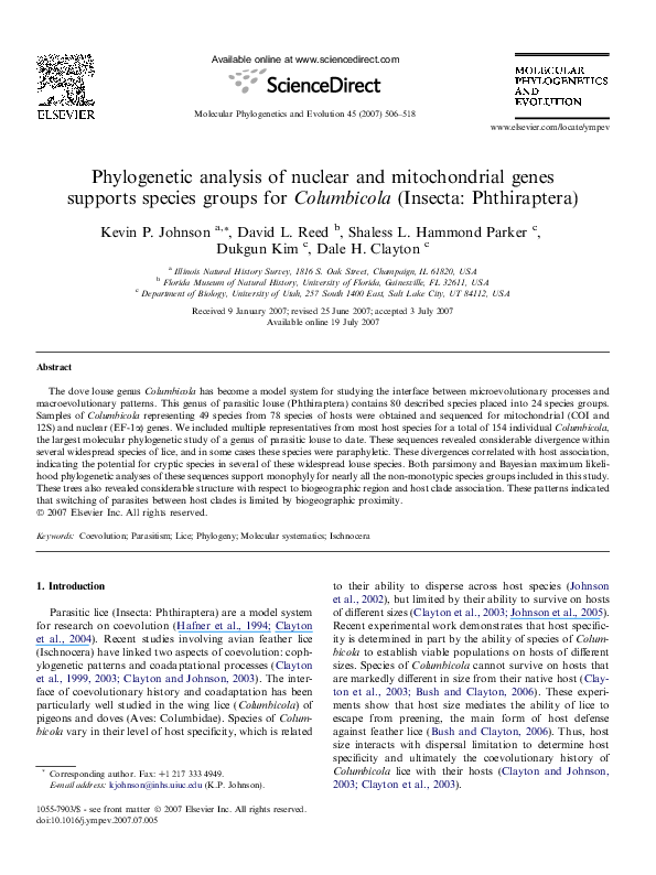 (PDF) Phylogenetic analysis of nuclear and mitochondrial DNA reveals a ...