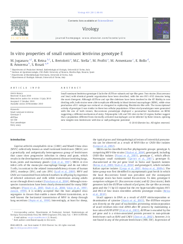 (PDF) In vitro properties of small ruminant lentivirus genotype E
