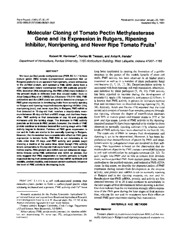 (PDF) Molecular Cloning of Tomato Pectin Methylesterase Gene and its ...