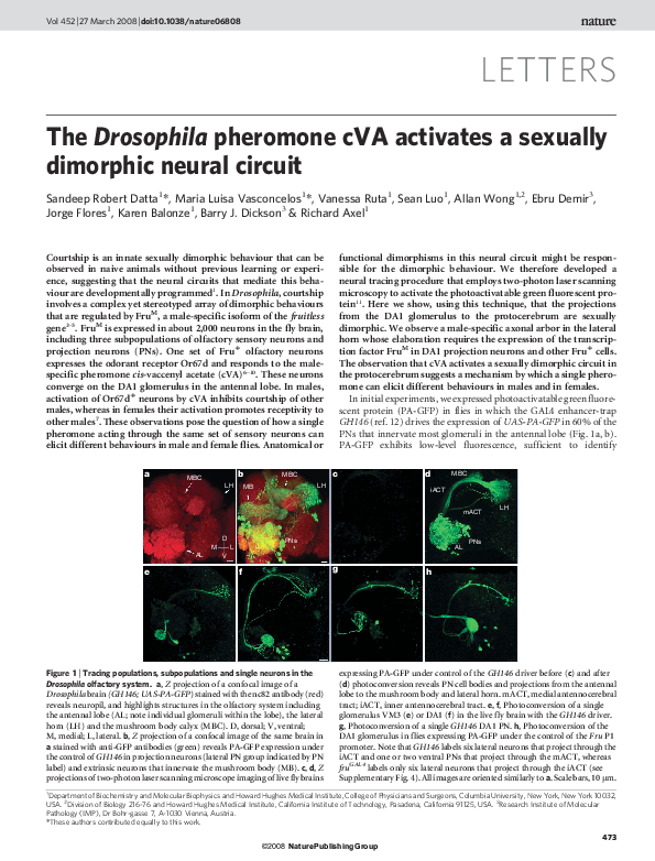 (PDF) The Drosophila pheromone cVA activates a sexually dimorphic ...