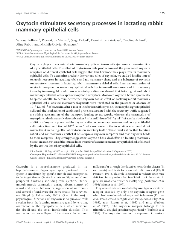 (PDF) Oxytocin stimulates secretory processes in lactating rabbit ...