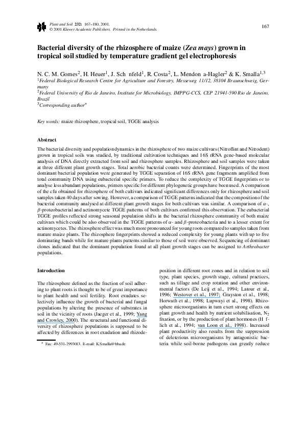 (PDF) Bacterial diversity of the rhizosphere of maize (Zea mays) grown ...