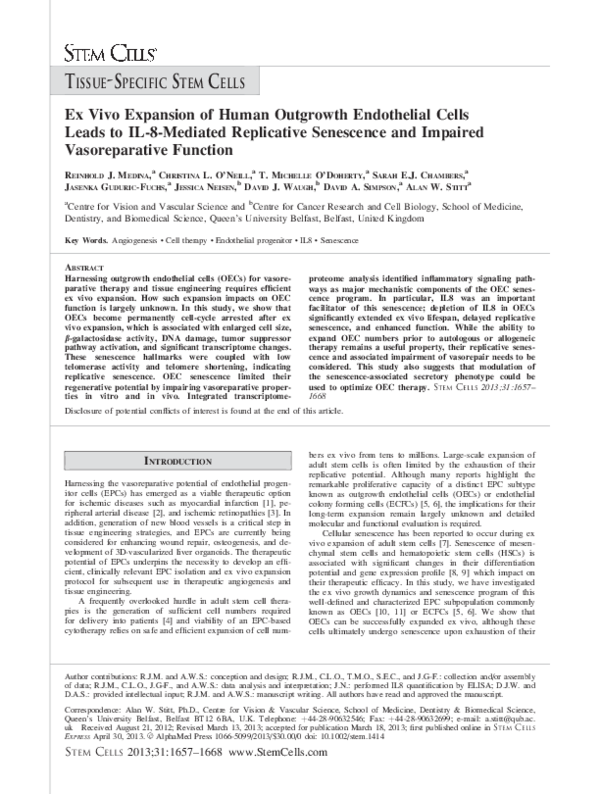 (PDF) Ex Vivo Expansion of Human outgrowth Endothelial Cells Leads to ...