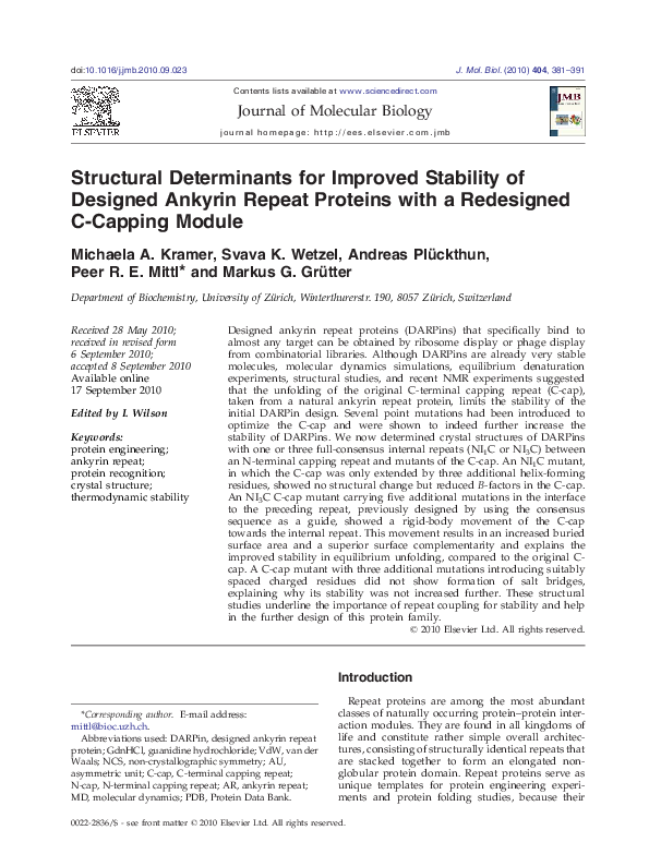 Structural determinants for improved stability of designed ankyrin ...