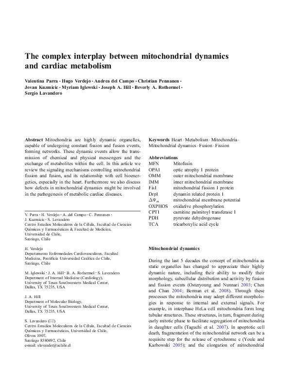 (PDF) The complex interplay between mitochondrial dynamics and cardiac ...