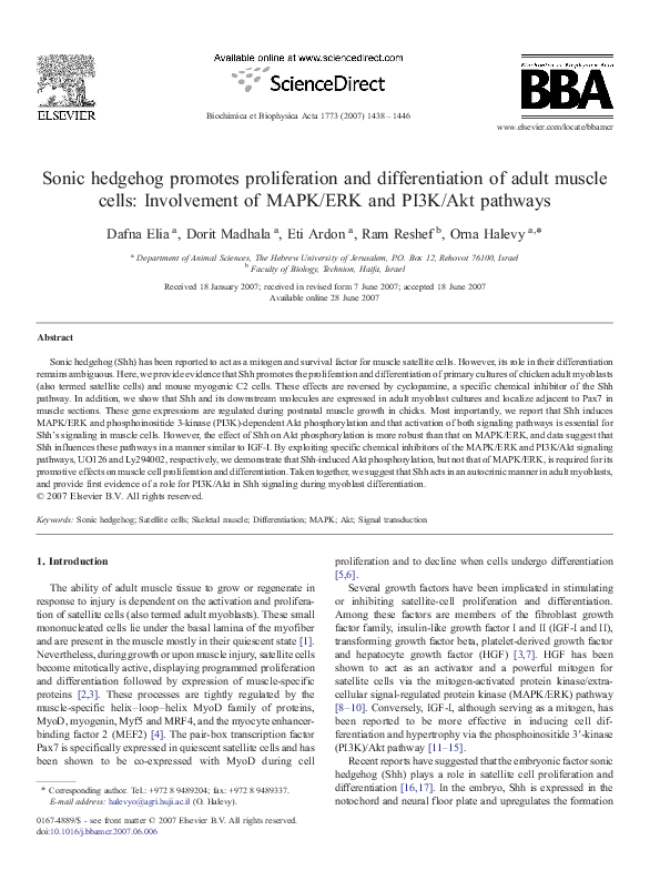 (PDF) Sonic hedgehog promotes proliferation and differentiation of ...