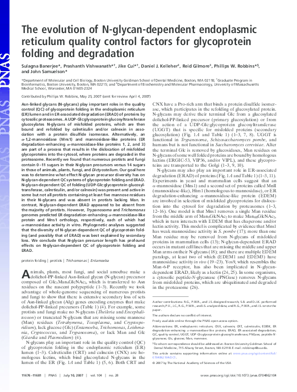 (PDF) The evolution of N-glycan-dependent endoplasmic reticulum quality ...