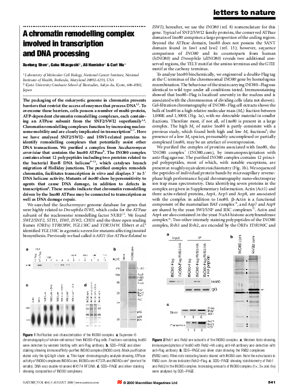 (PDF) A chromatin remodelling complex involved in transcription and DNA ...
