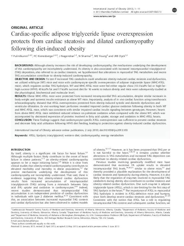 diet induced dilated cardiomyopathy