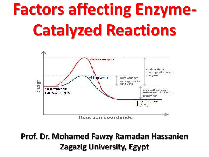 (PDF) Factors affecting Enzyme Catalyzed Reactions mohamed fawzy