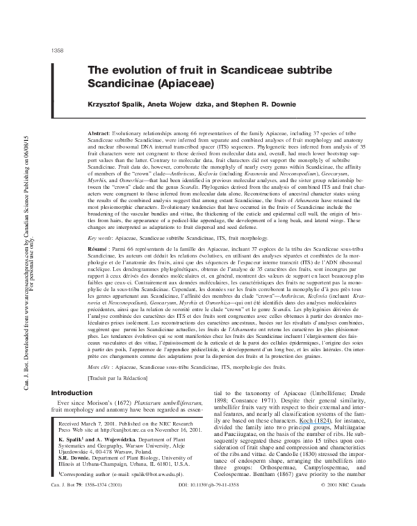 (PDF) The evolution of fruit in Scandiceae subtribe Scandicinae
