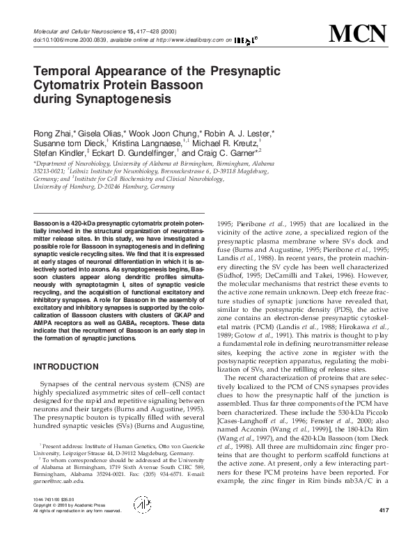 (PDF) Temporal Appearance of the Presynaptic Cytomatrix Protein Bassoon ...