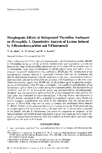 Thymidine analogues essay picture