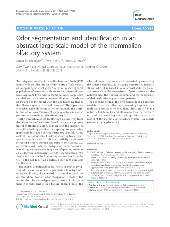 Olfactory system essay picture