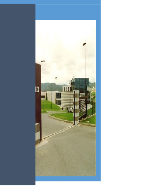 Caso inditex essay picture