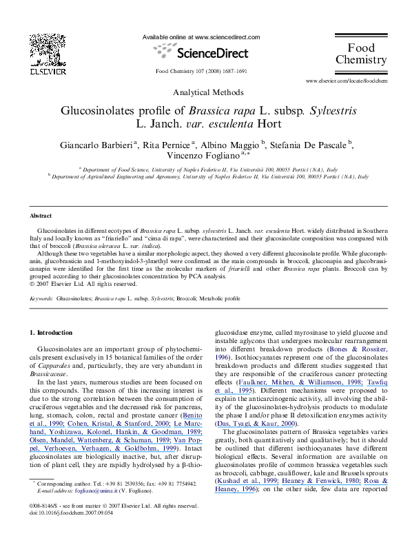 Brassica rapa information image