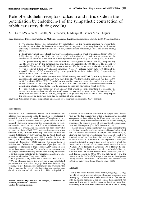 Endothelin essay 03 image