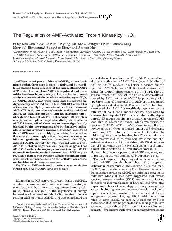 (PDF) The Regulation of AMP-Activated Protein Kinase by H 2O 2