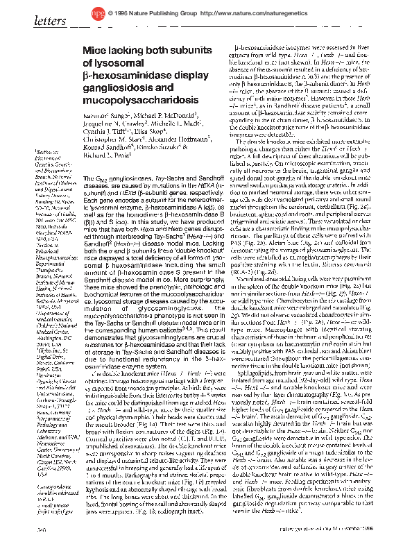 Gangliosidoses essay image