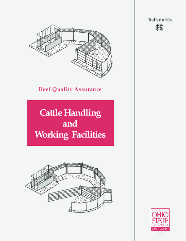 (PDF) Beef Quality Assurance Cattle Handling and Working Facilities