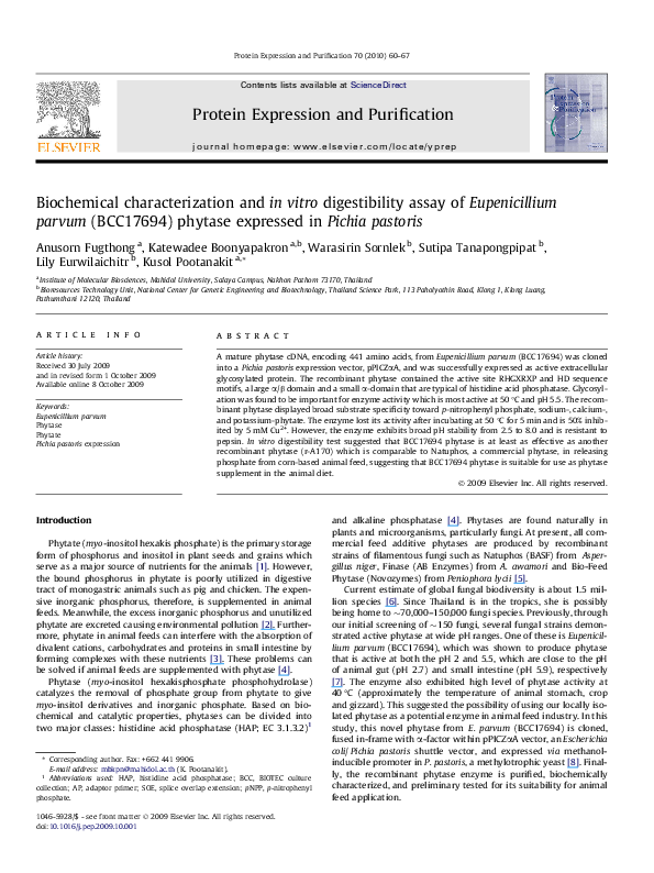Phytase enzyme image