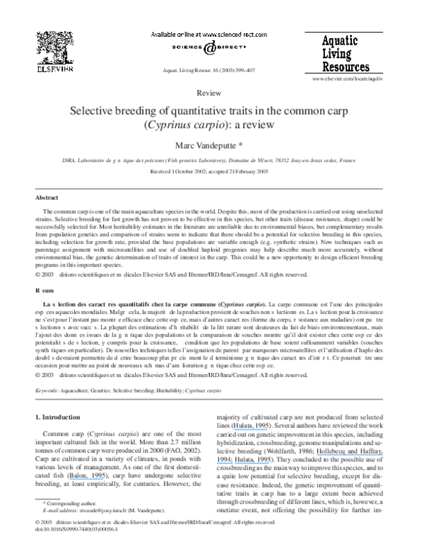 Selective breeding examples in animals picture