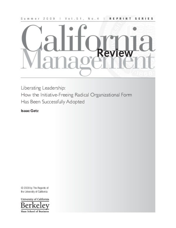 Radical leadership essay 06 image