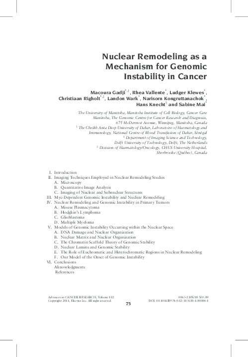(PDF) Nuclear Remodeling as a Mechanism for Genomic Instability in Cancer
