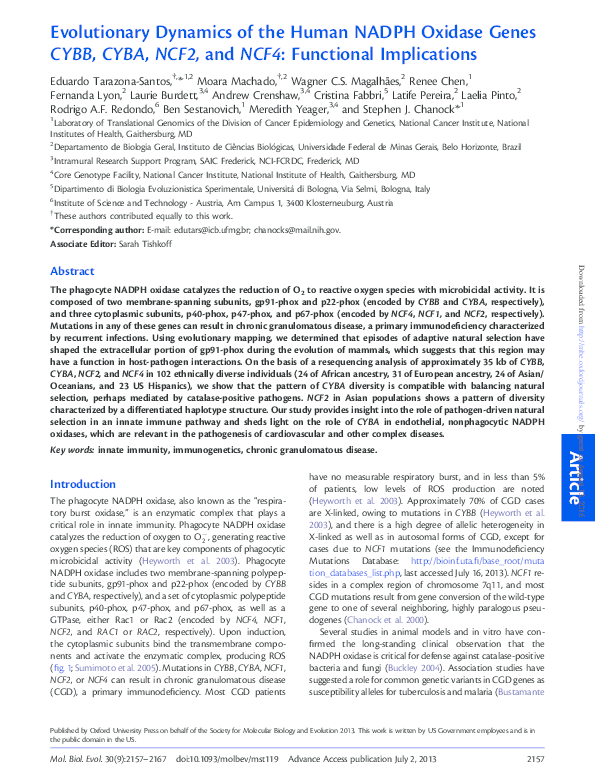 (PDF) Evolutionary Dynamics of the Human NADPH Oxidase Genes CYBB, CYBA ...