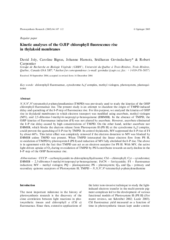 Chlorophyll and kidneys image