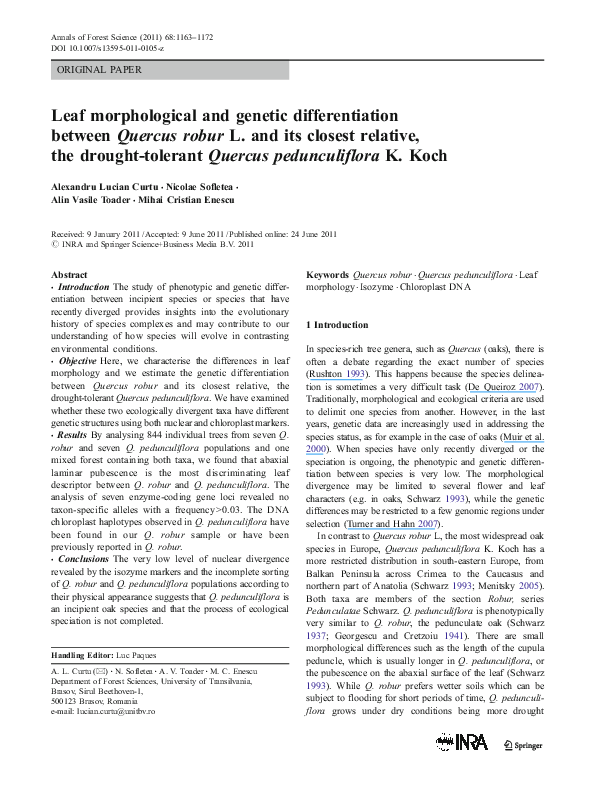 (PDF) Leaf morphological and genetic differentiation between Quercus ...