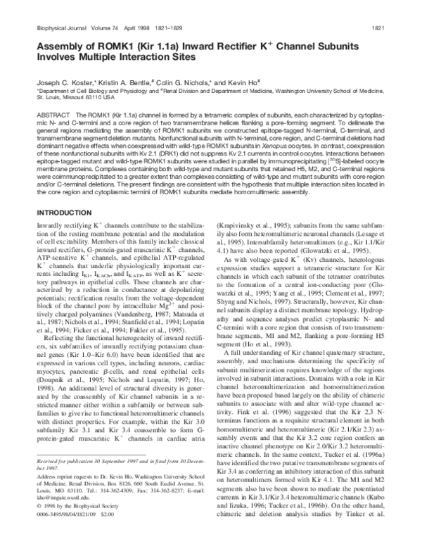 (PDF) Assembly of ROMK1 (Kir 1.1a) Inward Rectifier K + Channel