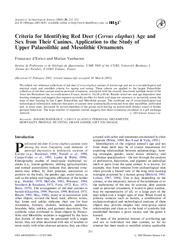 Cervus essay 03 picture