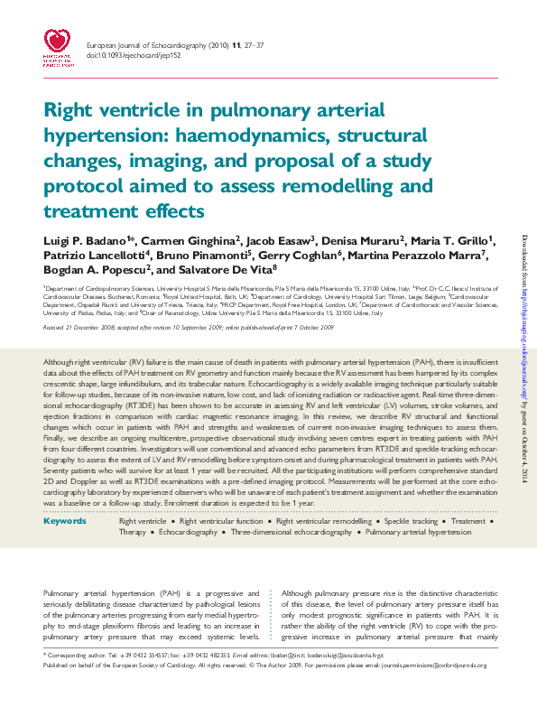 (PDF) Right ventricle in pulmonary arterial hypertension: haemodynamics ...