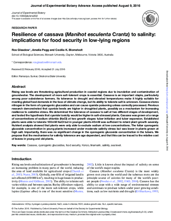 PDF) Cassava Salinity Tolerance and Food Security in Coastal Areas
