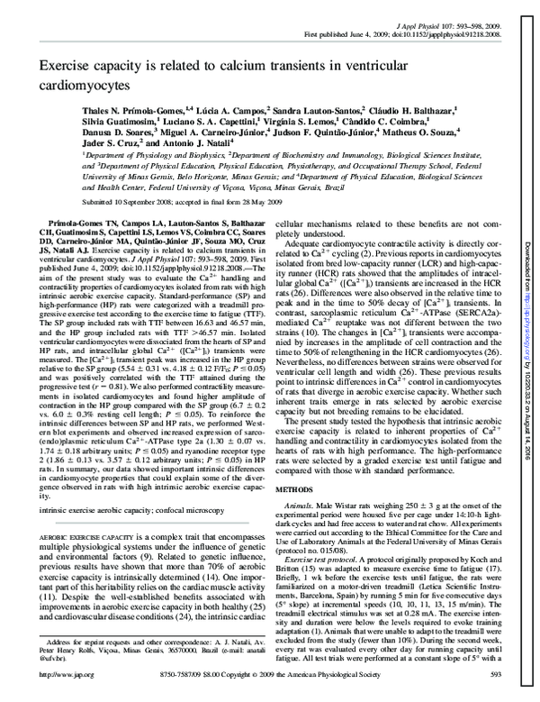 (PDF) Exercise capacity is related to calcium transients in ventricular ...