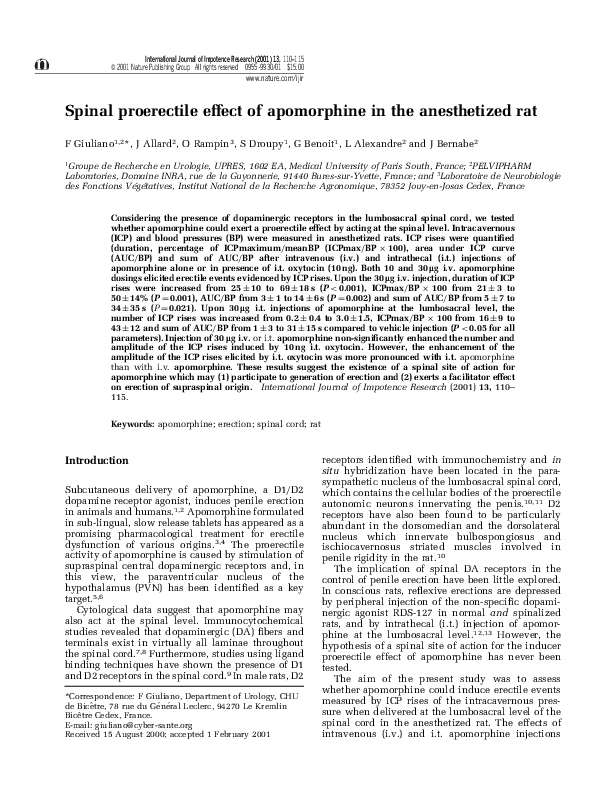 (PDF) Spinal proerectile effect of apomorphine in the anesthetized rat