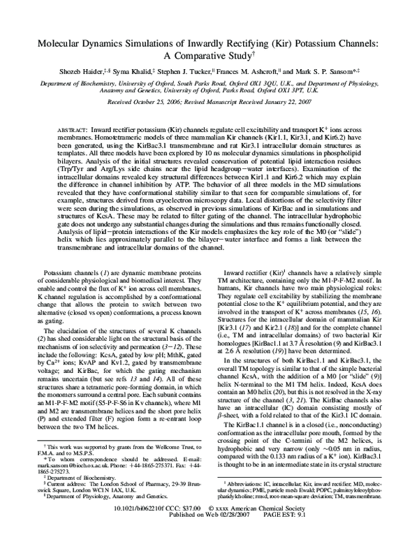 (PDF) Molecular Dynamics Simulations of Inwardly Rectifying (Kir ...
