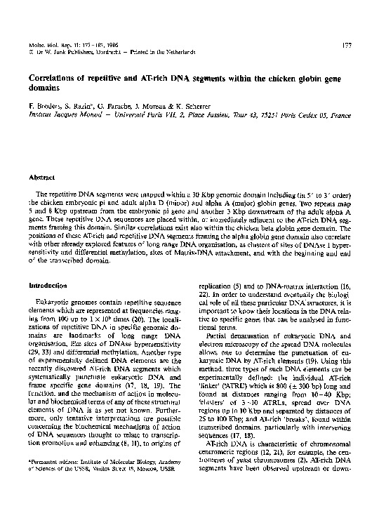 Dna segments essay image