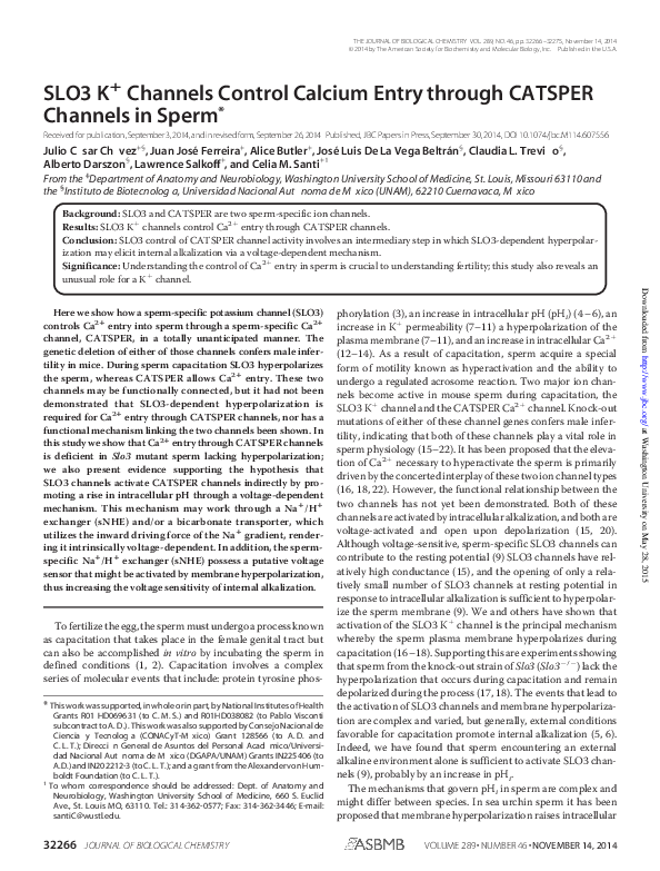 (PDF) SLO3 K Channels Control Calcium Entry through CATSPER Channels in ...