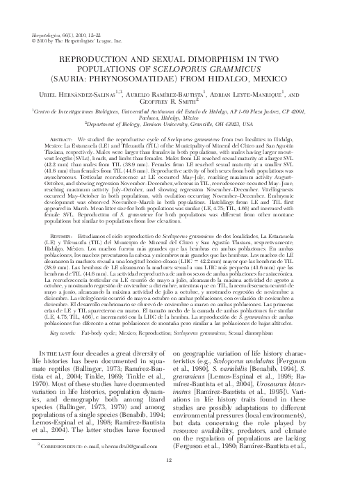 Phrynosomatidae skip essay 06 image