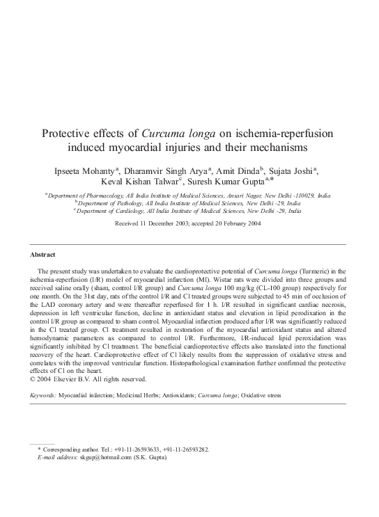 (PDF) Protective effects of Curcuma longa on ischemia-reperfusion ...