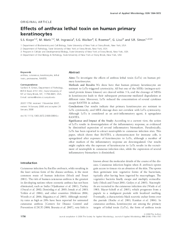 Anthrax treatment image