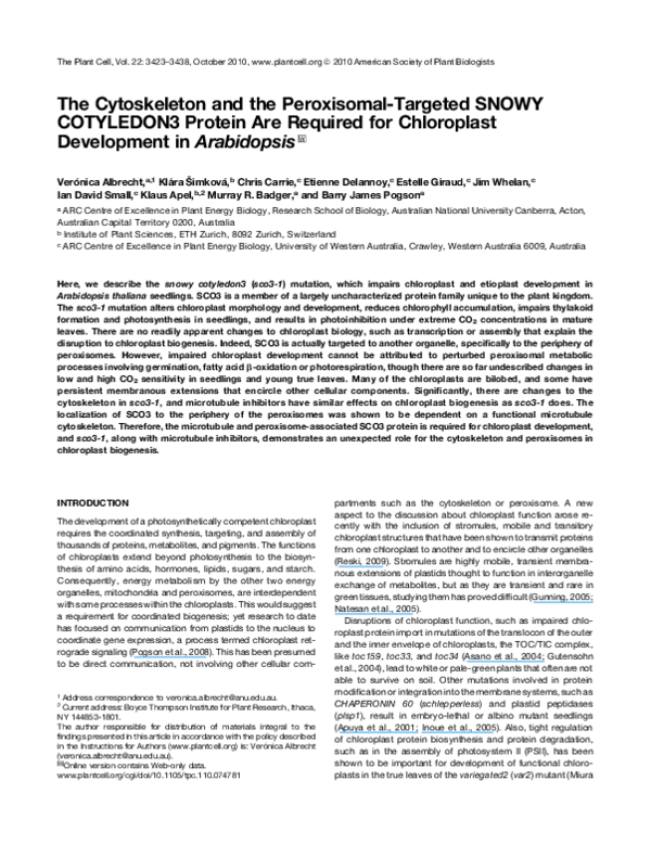Cytoskeleton characteristics image