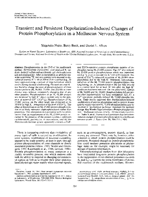 Freud39s essay on transience 08 image