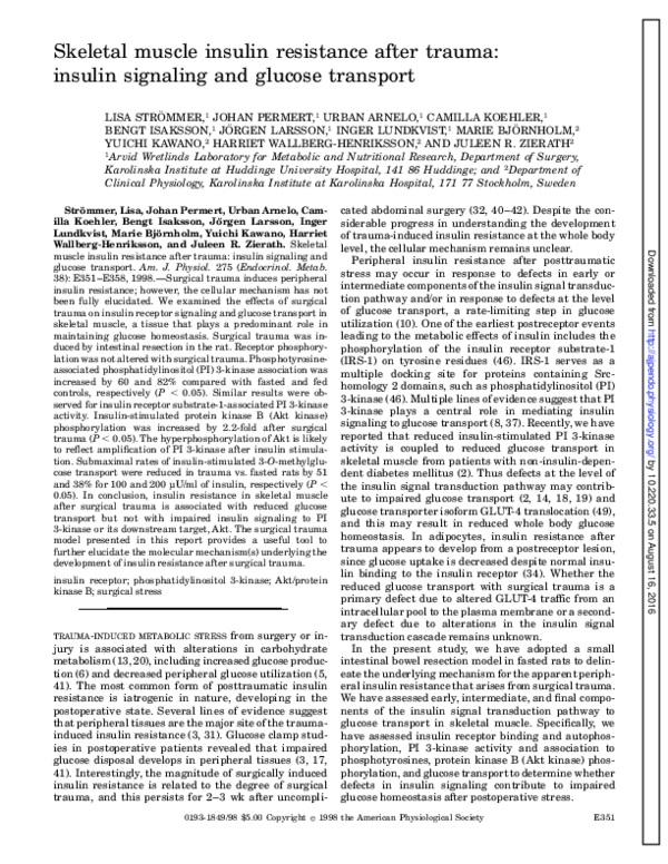 (PDF) Skeletal muscle insulin resistance after trauma: Insulin ...