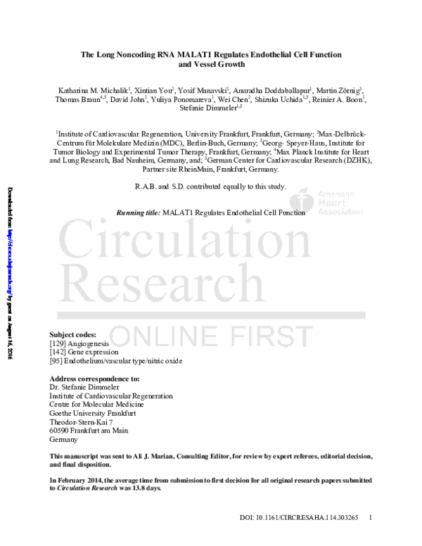 (PDF) Long Noncoding RNA MALAT1 Regulates Endothelial Cell Function and ...