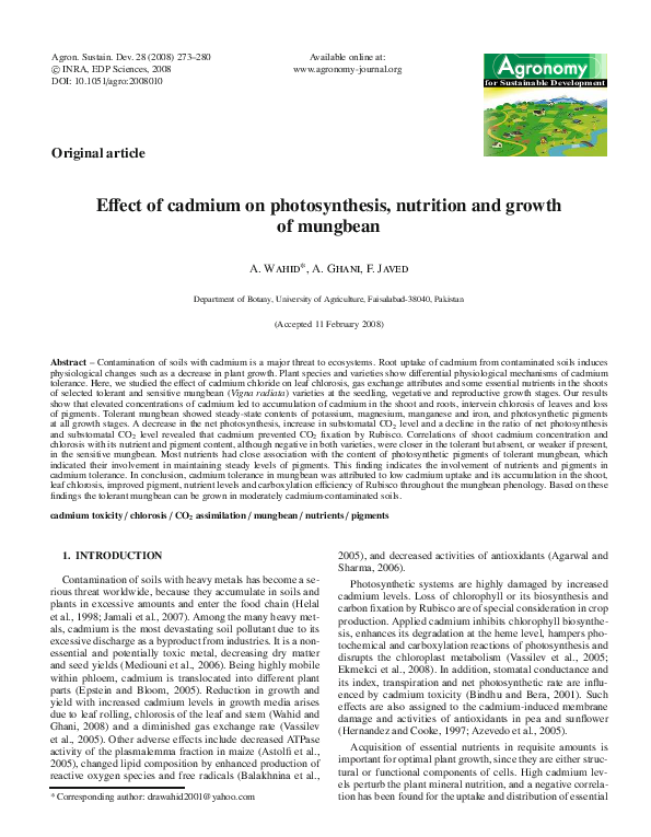 (PDF) Effect of cadmium on photosynthesis, nutrition and growth of mungbean