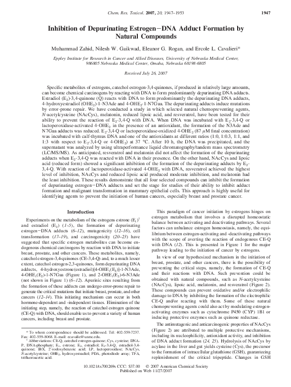 Receipts estrogen image